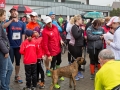 Moschellauf2017_8672