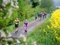 Moschellauf2017_8938