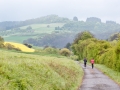 Moschellauf2017_9055