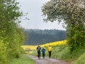 Moschellauf2017_9063