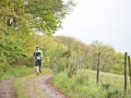 Moschellauf2017_9087